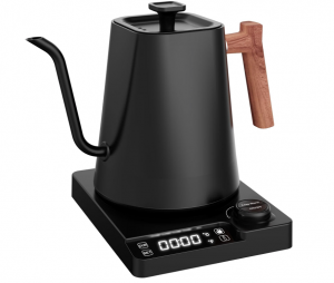 kettle with temperature control